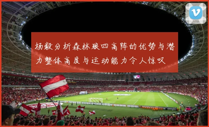 杨毅分析森林狼四高阵的优势与潜力整体高度与运动能力令人惊叹